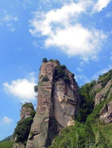 武義縣圖冊