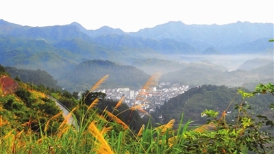 錦后:一個美麗的山村--武義新聞網(wǎng)