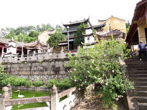 浙江武義延福寺記游