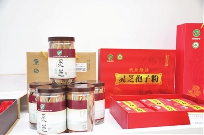 武義報(bào)數(shù)字報(bào)-興森科技點(diǎn)“菌”成金