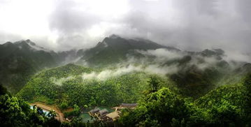 華東地區(qū)首家3d特效玻璃棧道落座武義牛頭山,五一小長假免費(fèi)玩