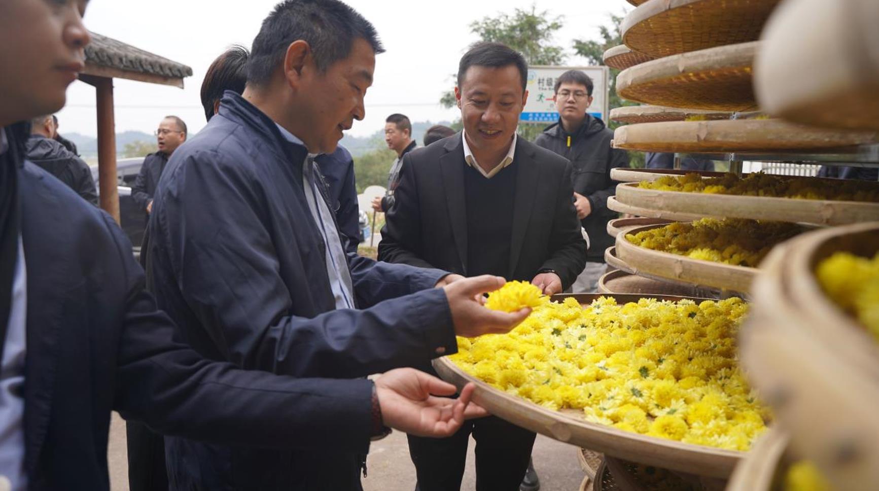 金華市綜合行政執(zhí)法局帶隊(duì)赴武義白衣坑村開展“千團(tuán)聯(lián)千村”結(jié)對(duì)幫扶活動(dòng)