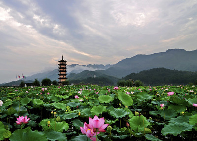 【家規(guī)·人文地理】明招山懷古